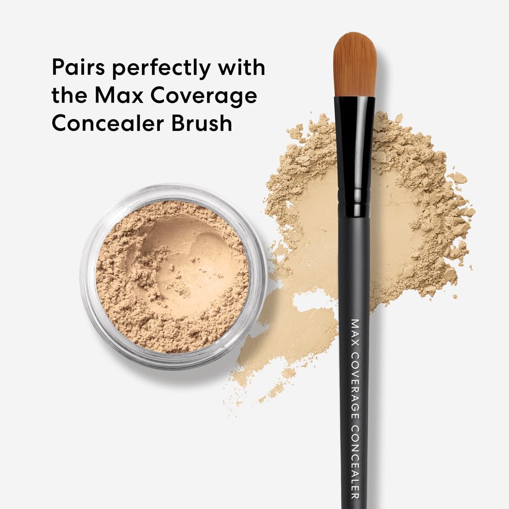 bareMinerals Well Rested Under Eye Brightener SPF 20, Loose Powder for Under Eye Brightening & Dark Circles, Mineral Powder Sunscreen SPF 20, Vegan - My Store