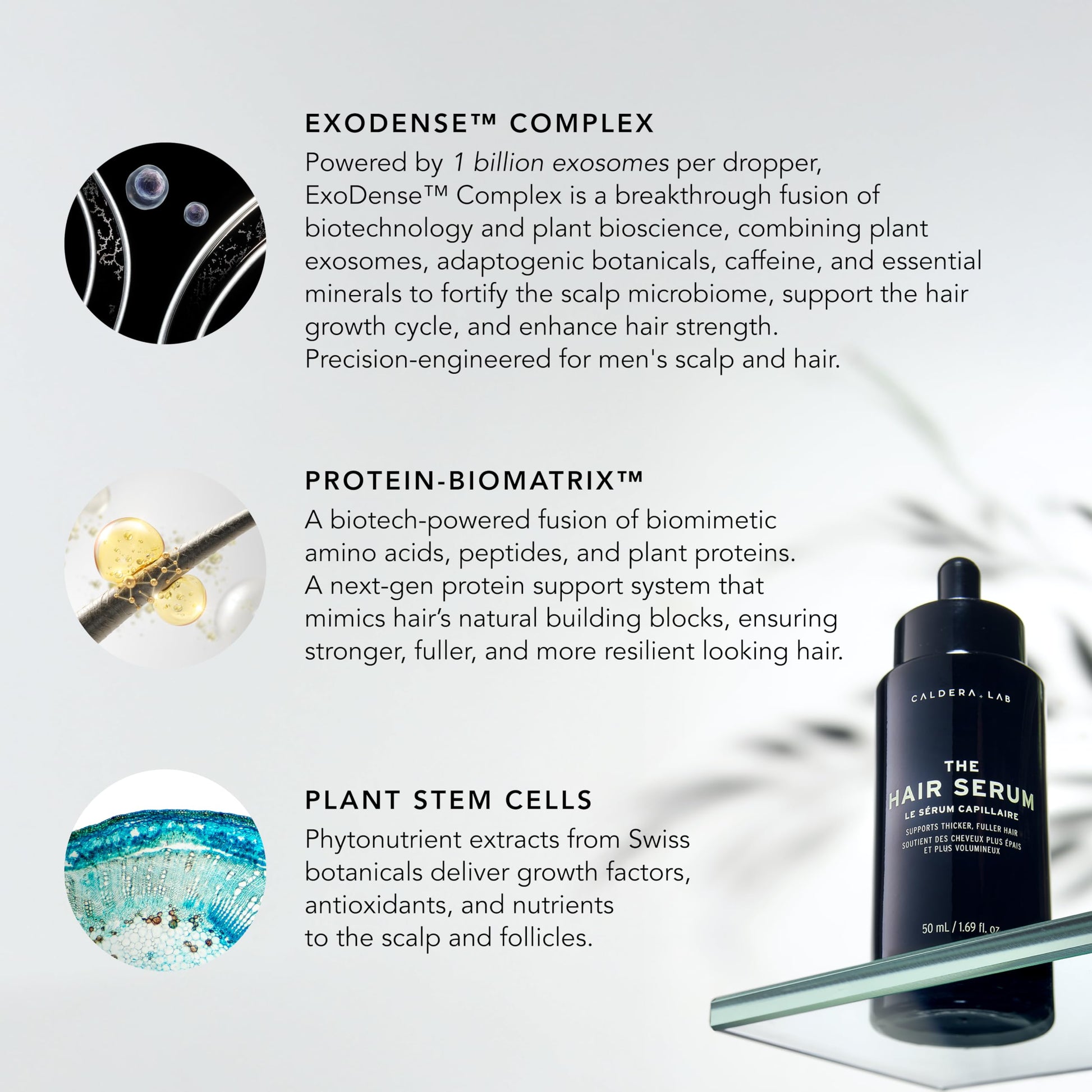 Caldera + Lab The Hair Serum | Men’s Thickening Serum for Thinning & Receding Hair, Supports Fuller & Stronger - Looking Hair, Dermatologically Tested - All Hair Types - SkinNails&Makeup