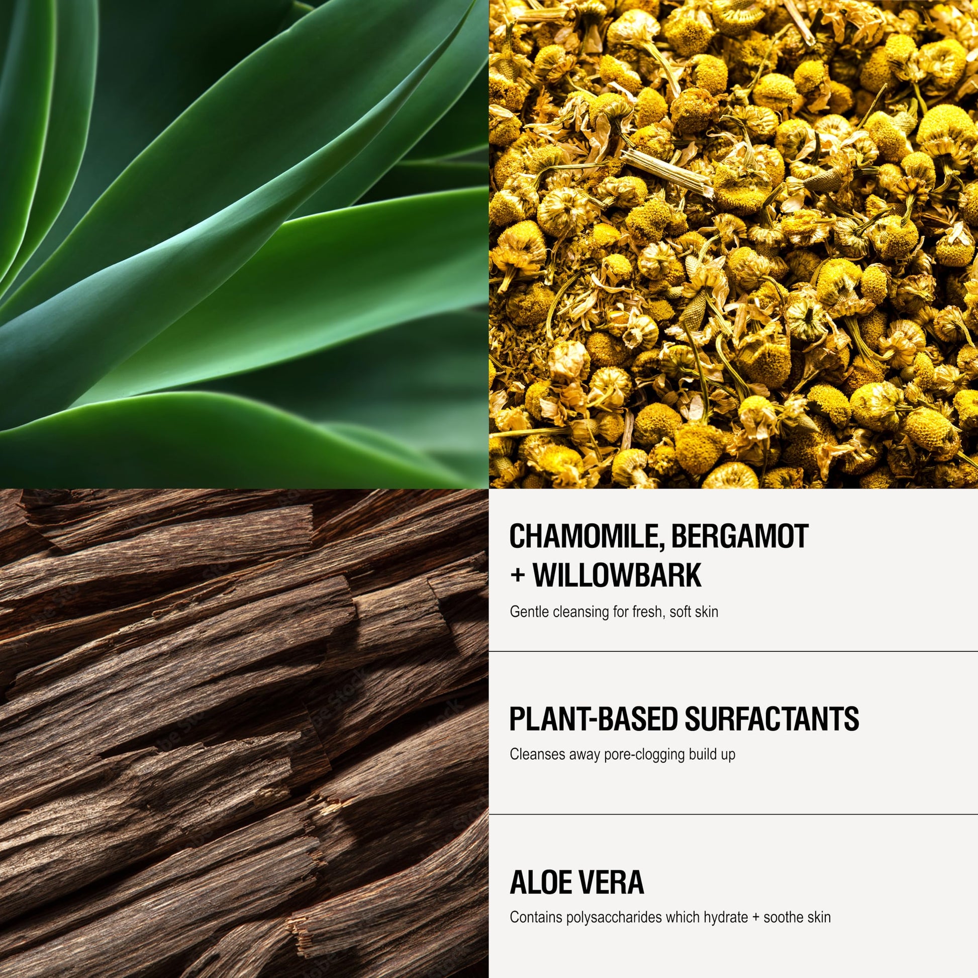 Grown Alchemist Gentle Gel Facial Cleanser (200ml) Natural Face Wash. Hydrating Bergamot & Rosebud Exfoliating with Willow Bark, a Salicylic Acid Alternative. - SkinNails&Makeup