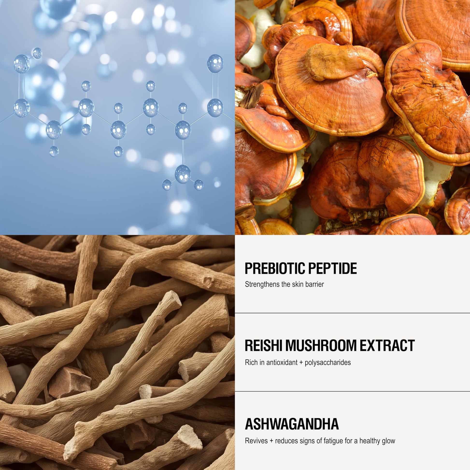 Grown Alchemist Skin Defense Primer and Lightweight Matte Pore Refiner. (50mL) - SkinNails&Makeup